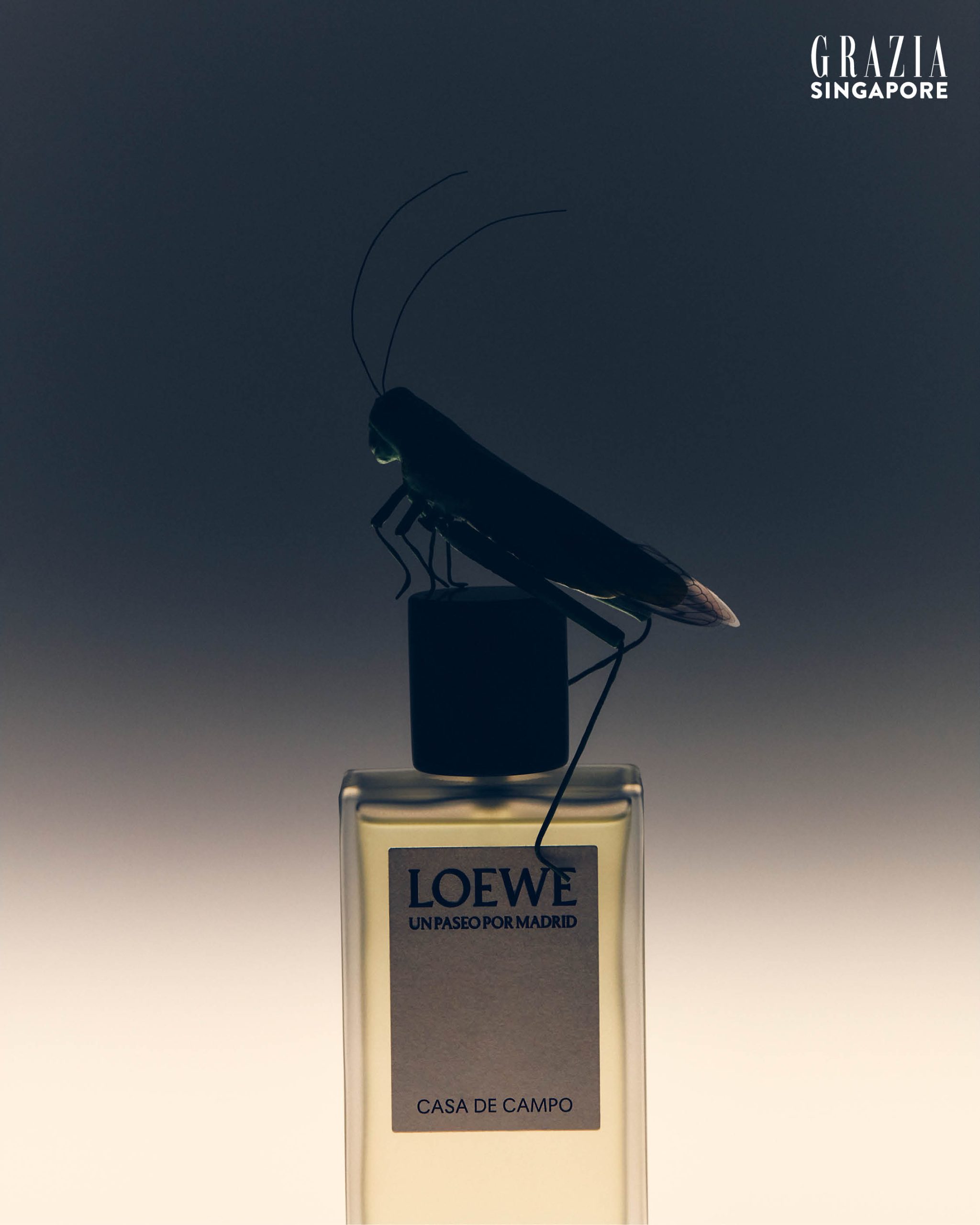 In 2025, explore the depths of nature’s irresistible persuasion through these innovative fragrance blends from Armani Privé, LV and more.