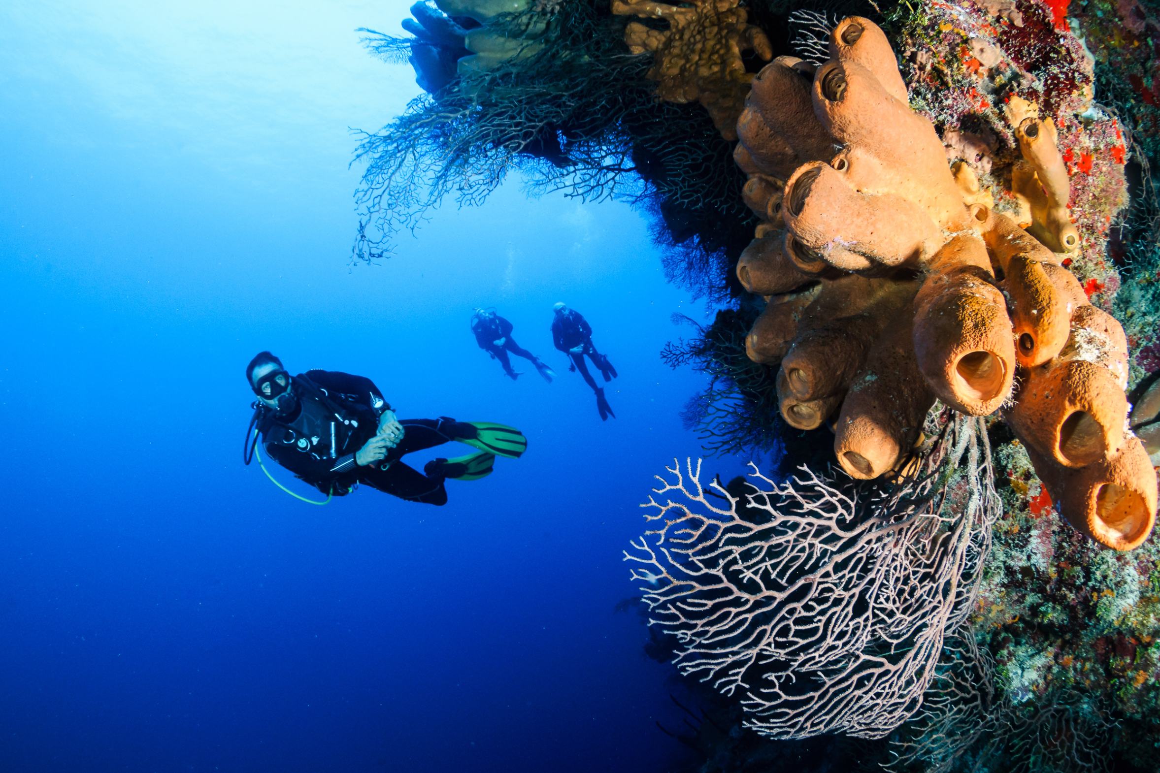 Review: Raja Ampat reveals a paradise of lush landscapes, astonishing biodiversity, and cultural heritage—best explored aboard a yacht.